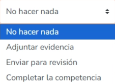Competency options