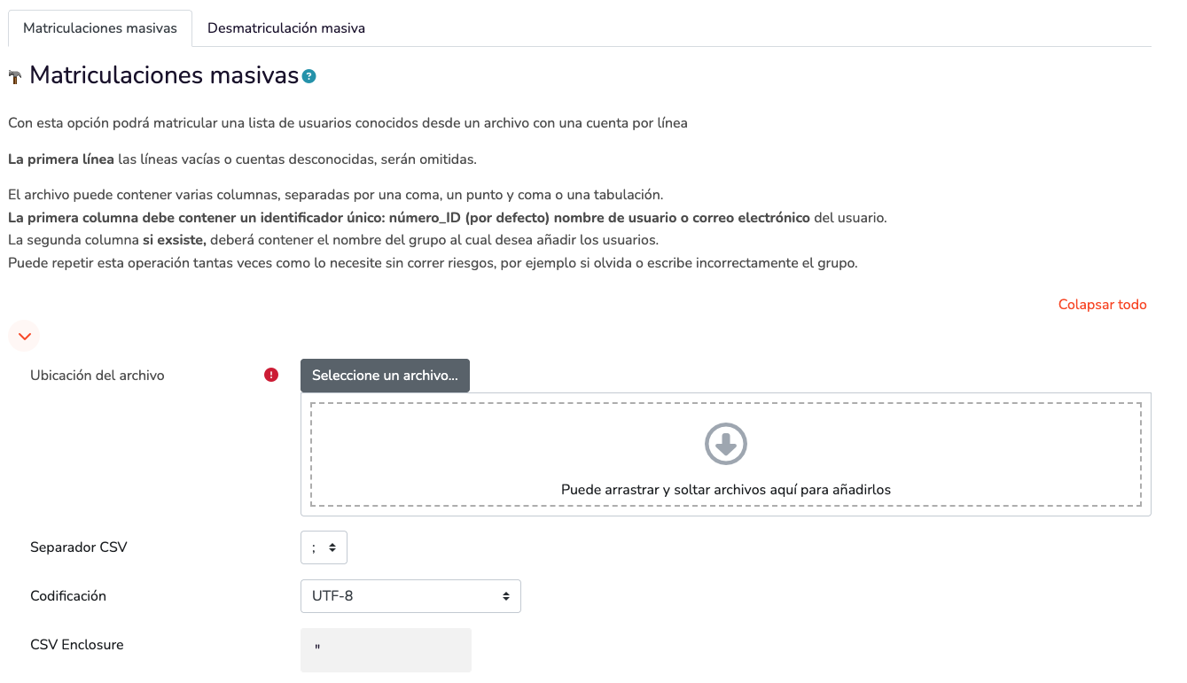 Pantalla de Matriculaciones Masivas